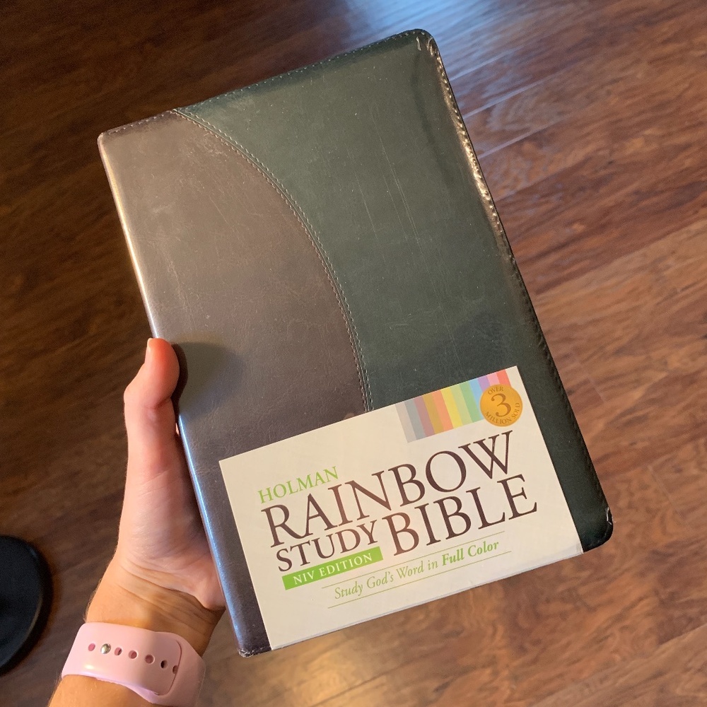 COPY - HOLMAN RAINBOW STUDY BIBLE